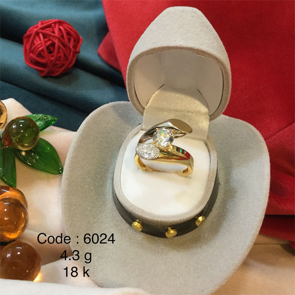 Code6024