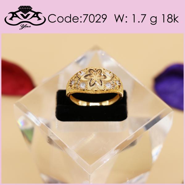 code7029